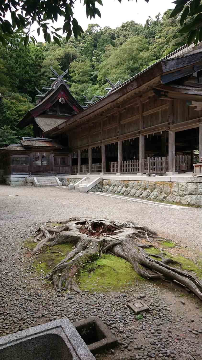 画像: 古い神社の建物と切り株の写真。周囲は豊かな緑に囲まれています。日本の伝統的な神社建築、歴史的建造物、自然の風景が