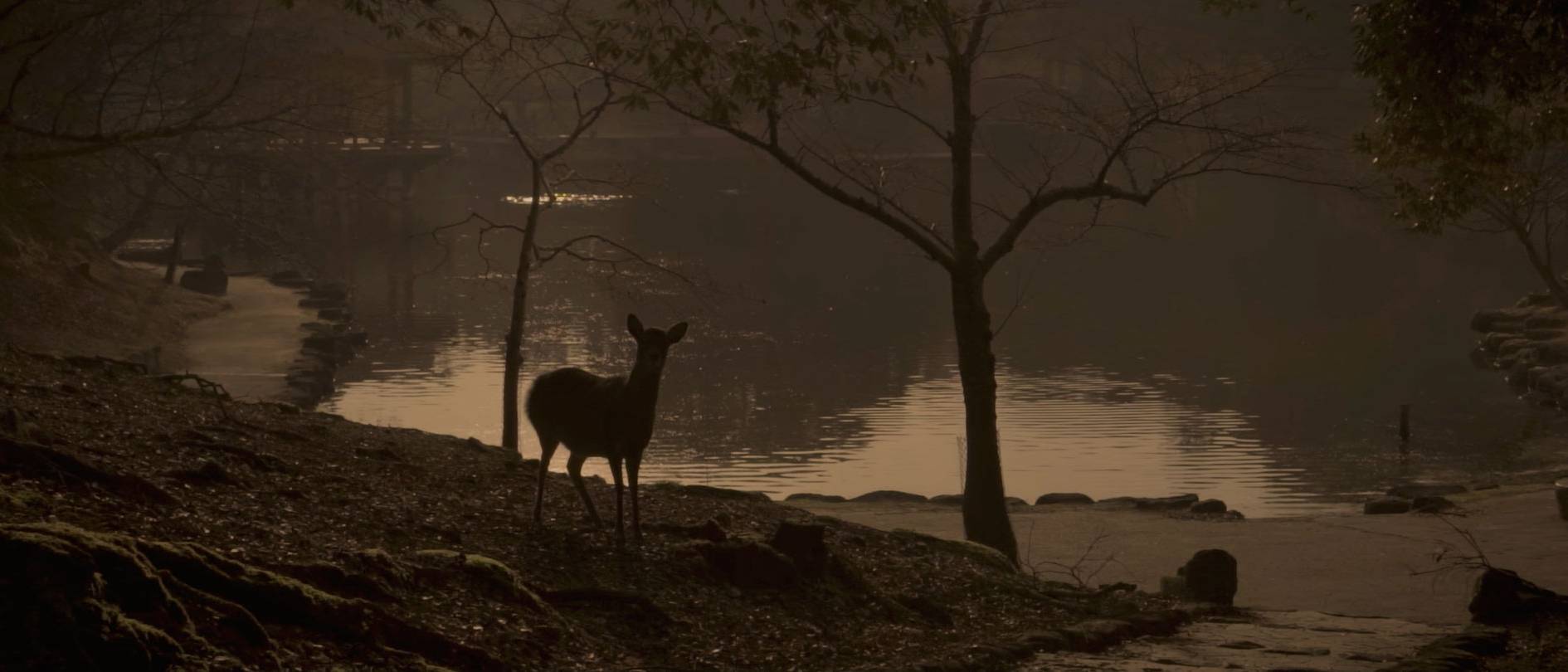 画像: 静かな夕暮れの湖畔にたたずむ鹿のシルエット。薄暗い森と水面が幻想的な雰囲気を演出しています。自然、美しい風景、静寂